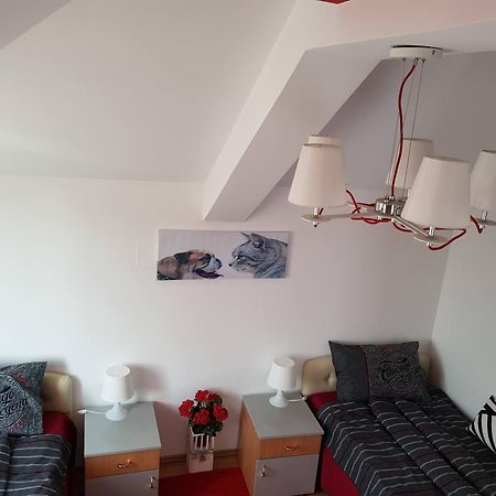 Lux Apartments With Pool Dex Zemun Polje Cameră foto